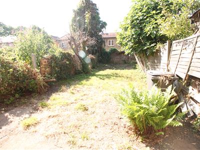 Picture 11